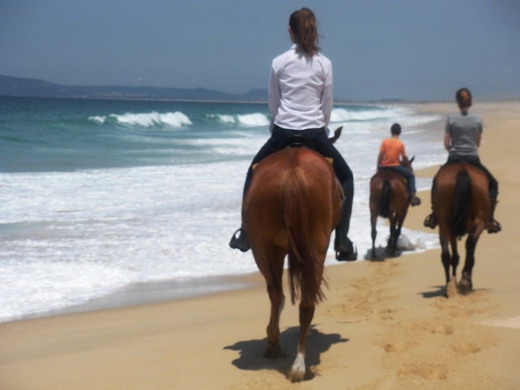 Troia Design Hotel Bagian luar foto Horse riding on the beach